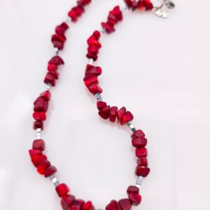 Accueil collier rouge